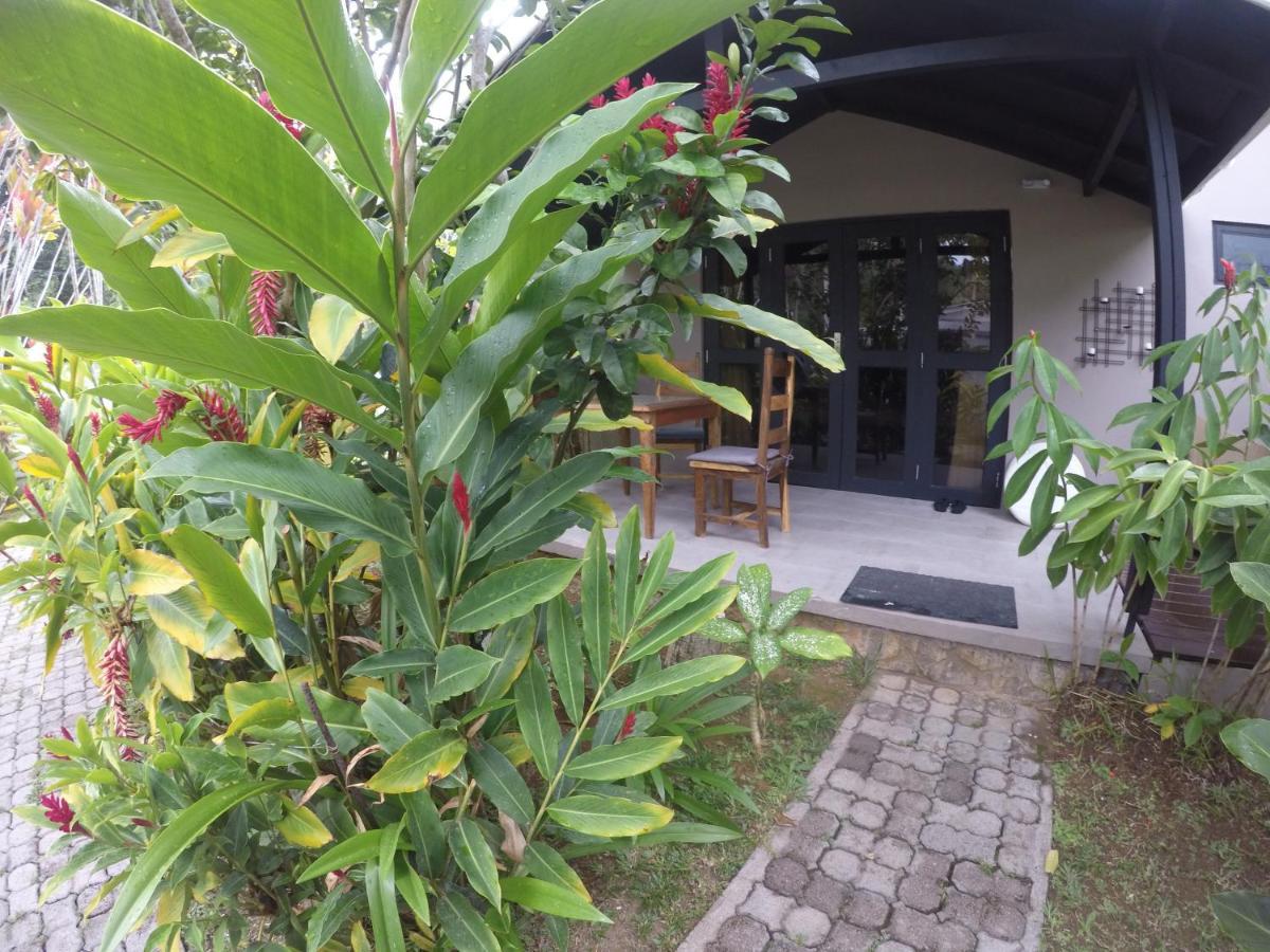 L'Oasi Guest House Baie Lazare  Exterior photo
